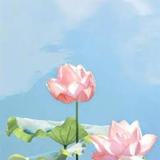 这个人有好奇心